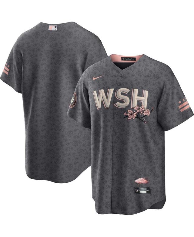 Mens Nike Gray Washington Nationals City Connect Replica Team Jersey - Gray Product Image