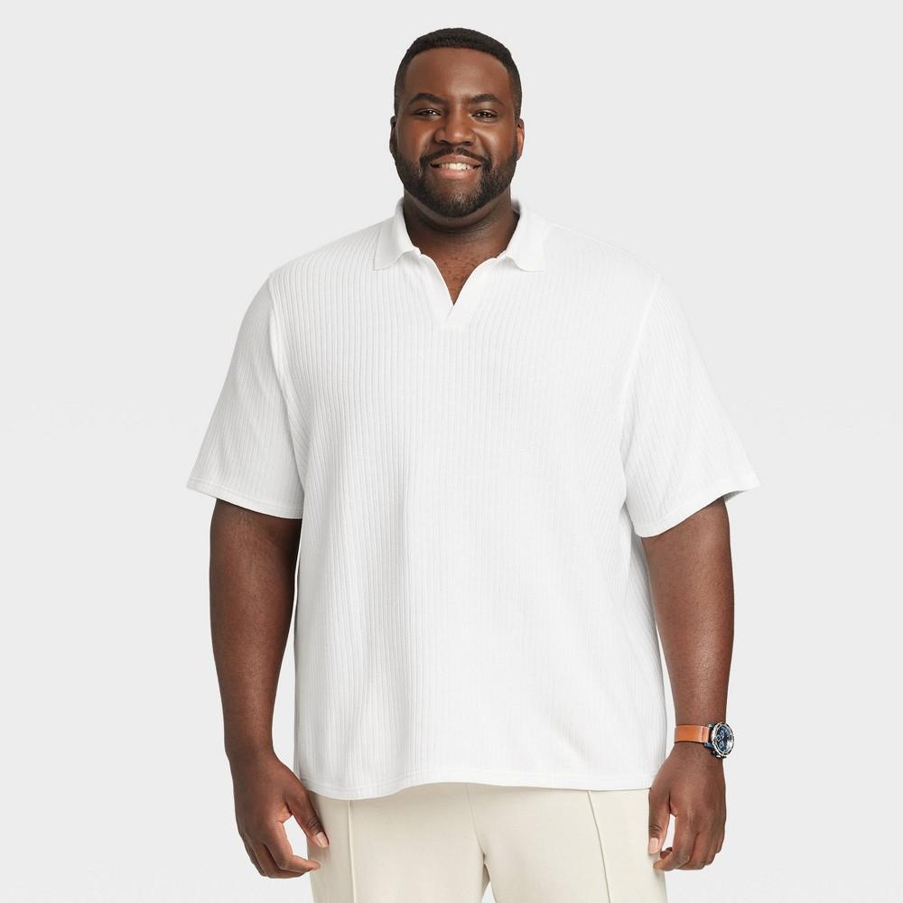 Mens Big & Tall Striped Regular Fit Short Sleeve Johnny Collared Polo Shirt - Goodfellow & Co White 3XLT Product Image