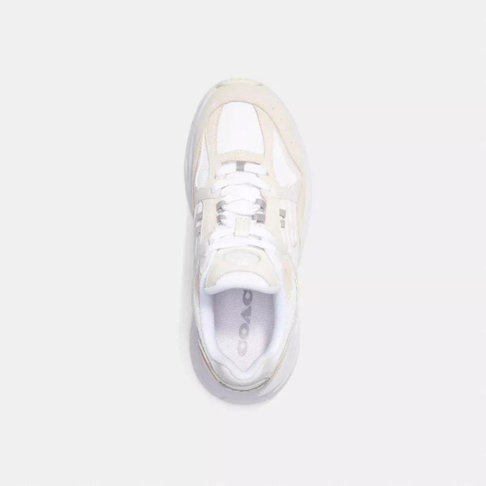 C301 Sneaker With Signature Canvas Product Image