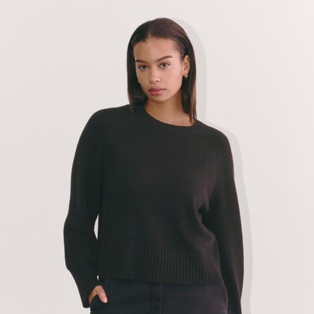 Womens Boxy Crew in Cashmere Sweater by Everlane Product Image