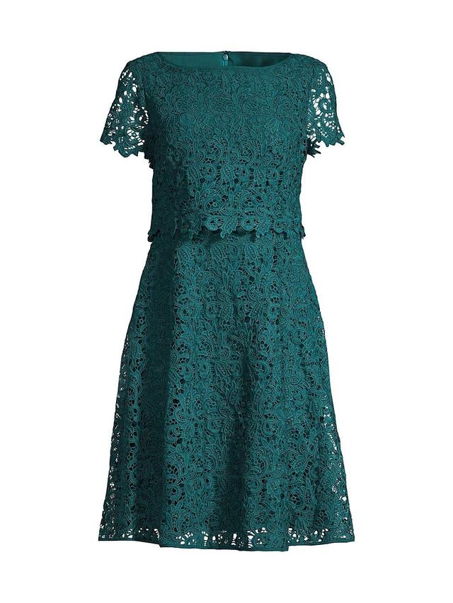 Shani Popover Lace Fit & Flare Dress Product Image