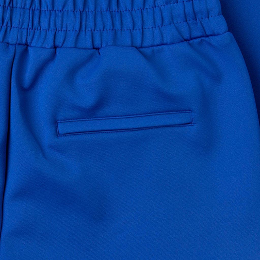 Thunder Track Trousers - Blue Male Product Image