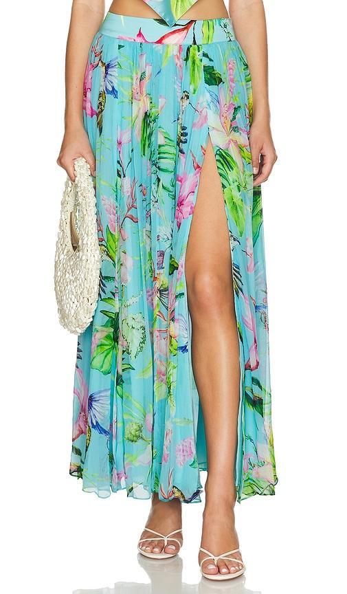 Maxi Skirt product image