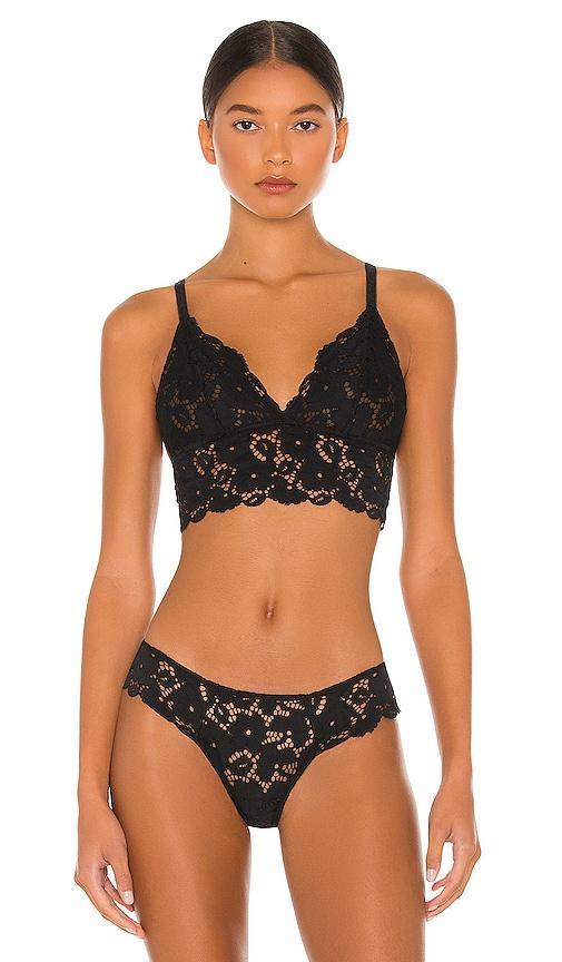 Naya The Classic Longline Bra Product Image