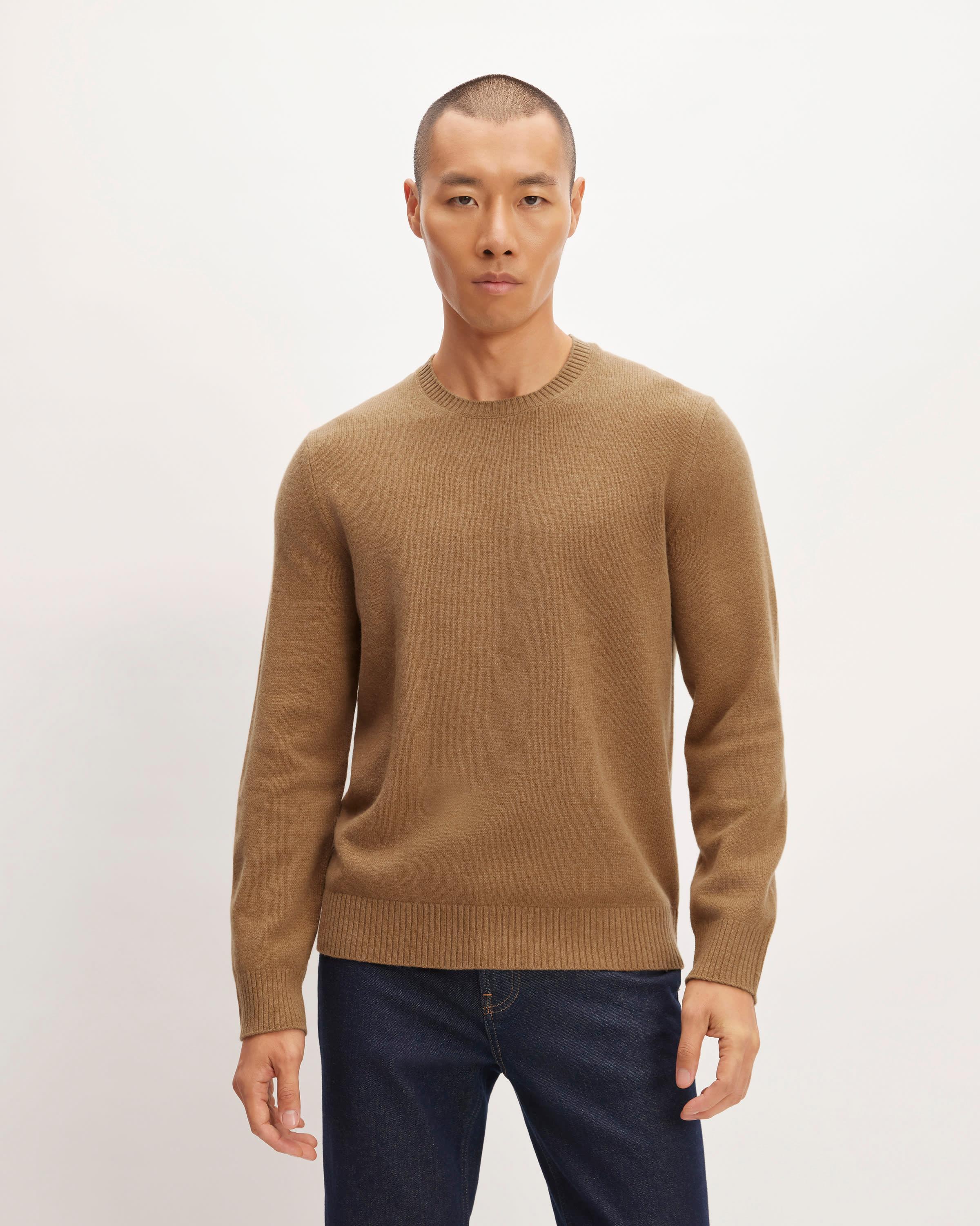 Mens Premium Merino Crew Neck Sweater by Everlane Product Image