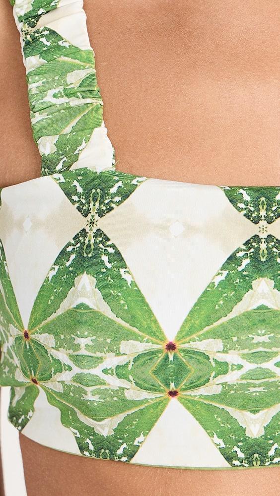 Nomads Current Bikini Top II | Shopbop Product Image