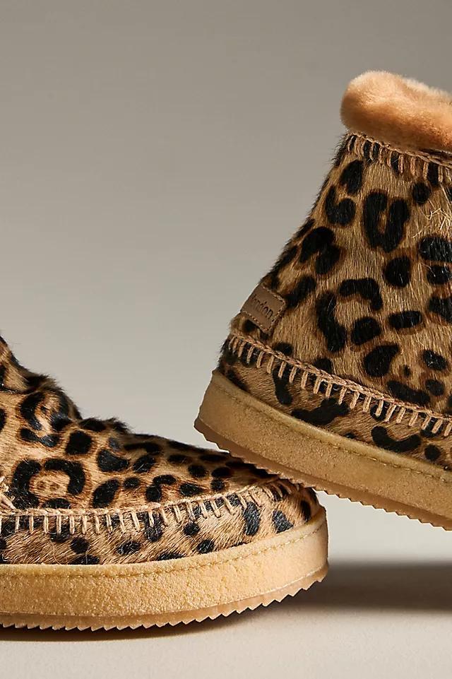 Laidback London Leopard Setsu Boots Product Image