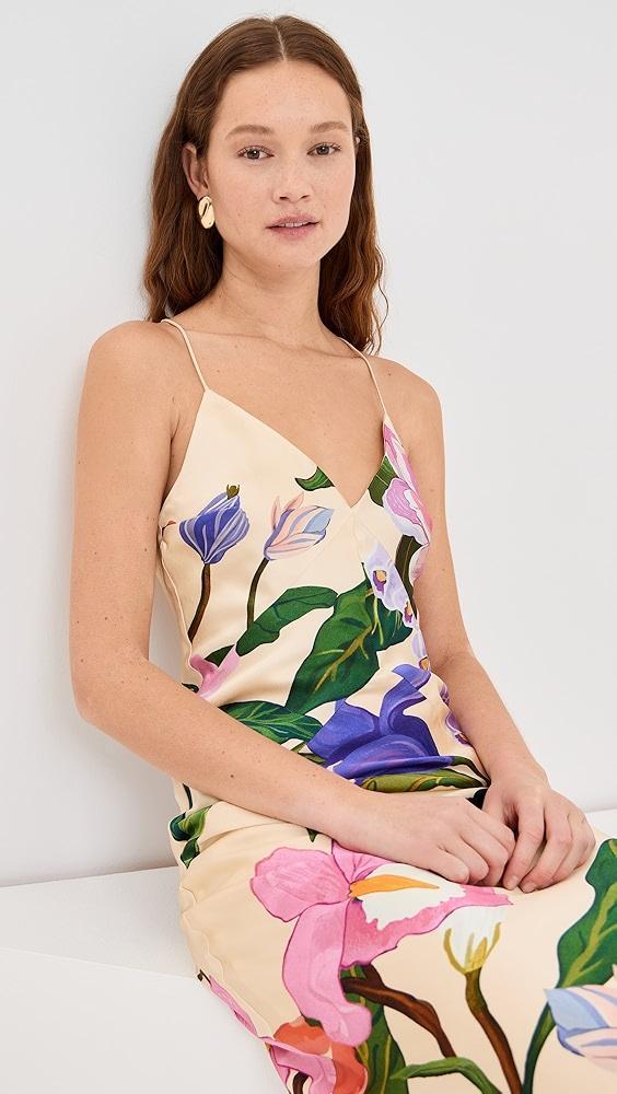 Borgo de Nor Olive Dress | Shopbop Product Image