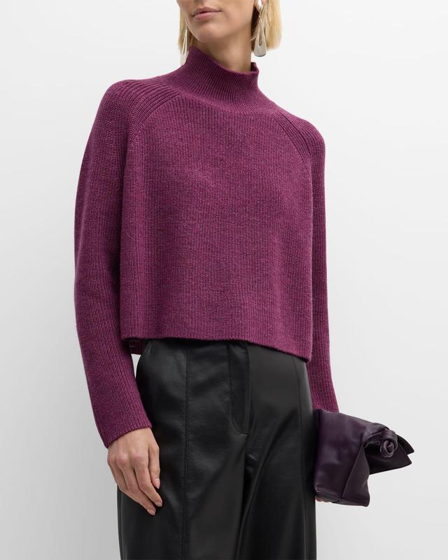 Eileen Fisher Merino Wool Crop Turtleneck Sweater Product Image