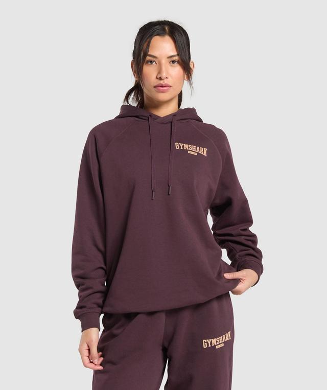 Collegiate Lifestyle Hoodie Product Image