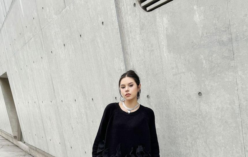 Long Sleeve Round Neck Plain Frill Panel Mesh Midi A-Line Dress Product Image