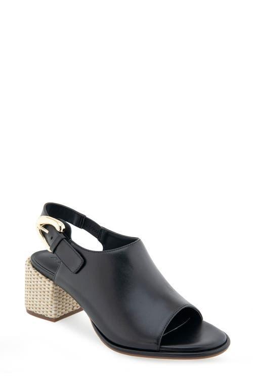 Aerosoles Nora Slingback Sandal Product Image