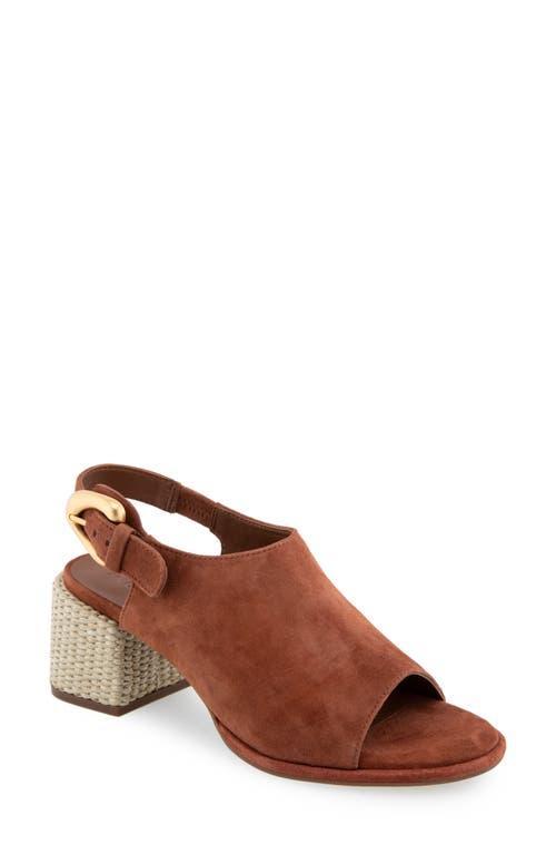 Aerosoles Nora Slingback Sandal Product Image