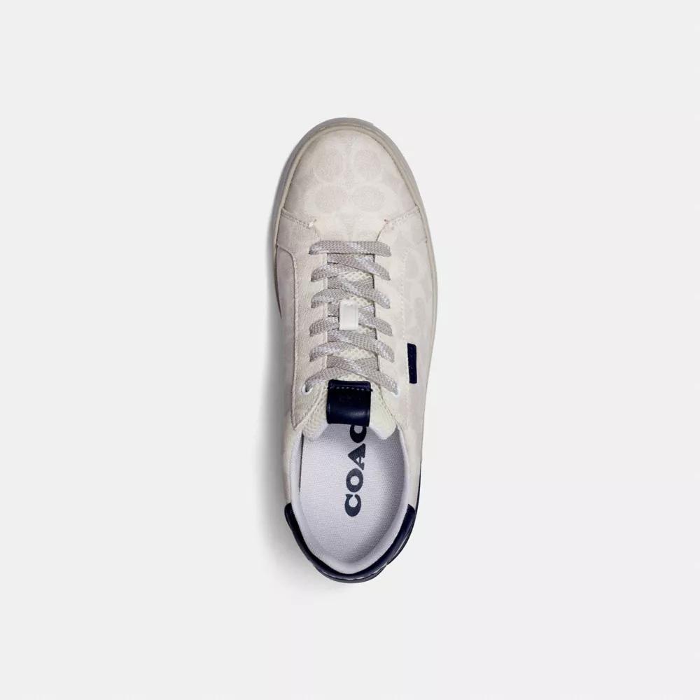 Lowline Low Top Sneaker Product Image