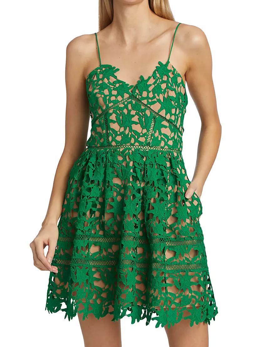 Floral-Embroidered Minidress Product Image