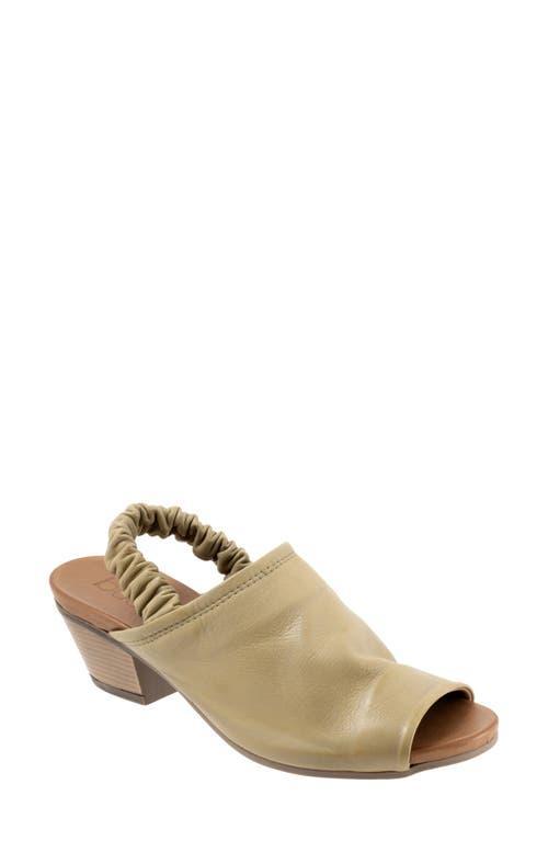 Bueno Lydia Slingback Sandal Product Image