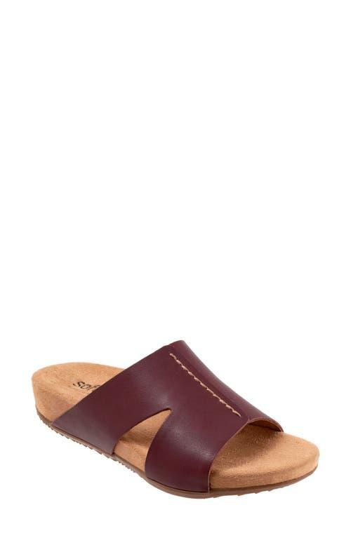 SoftWalk Beverly Sandal Product Image