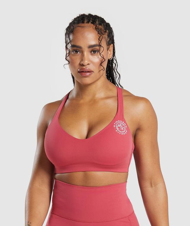 Legacy Sports Bra Product Image