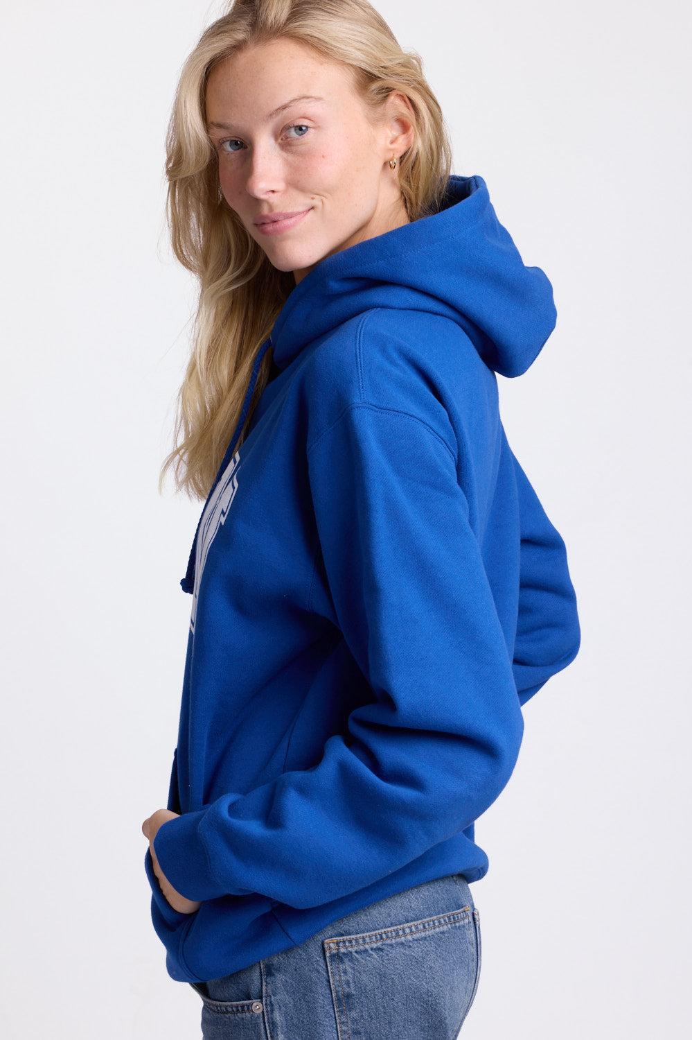 Raine Hoodie Product Image