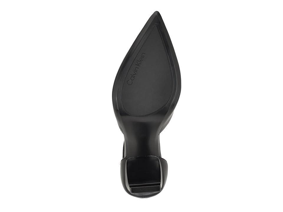 Calvin Klein Carcie Pointed Toe Pump Product Image