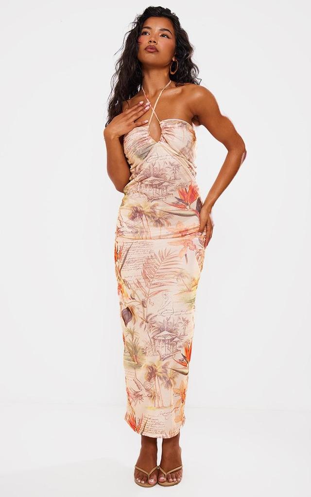 Nude Tropical Print Mesh Halterneck Maxi Dress Product Image