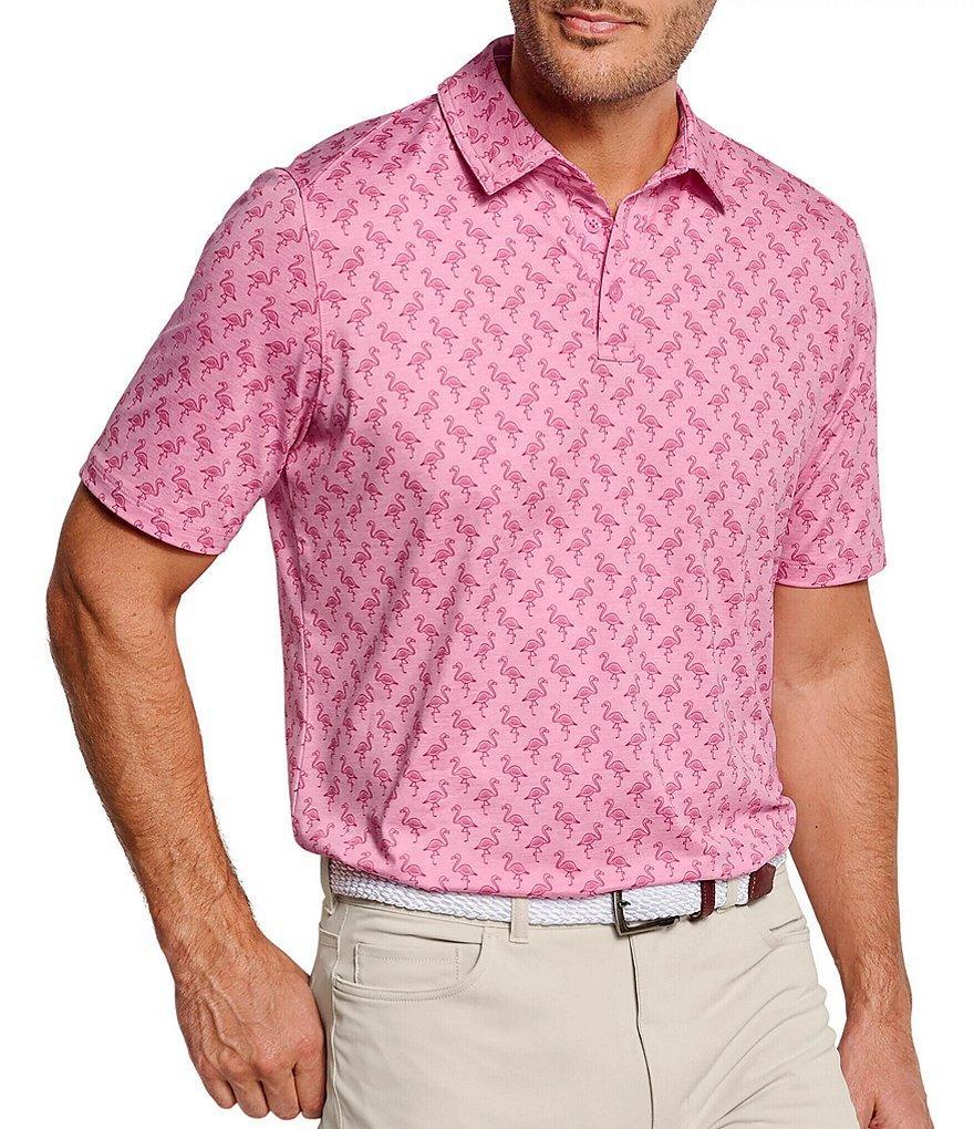 Johnston & Murphy XC4 Performance Stretch Flamingo Print Short Sleeve Polo Shirt Product Image