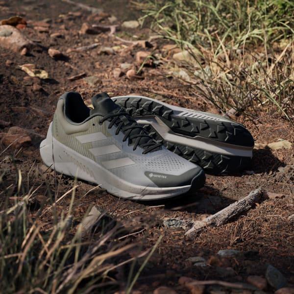 Terrex Soulstride Flow Gore-Tex Shoes Product Image