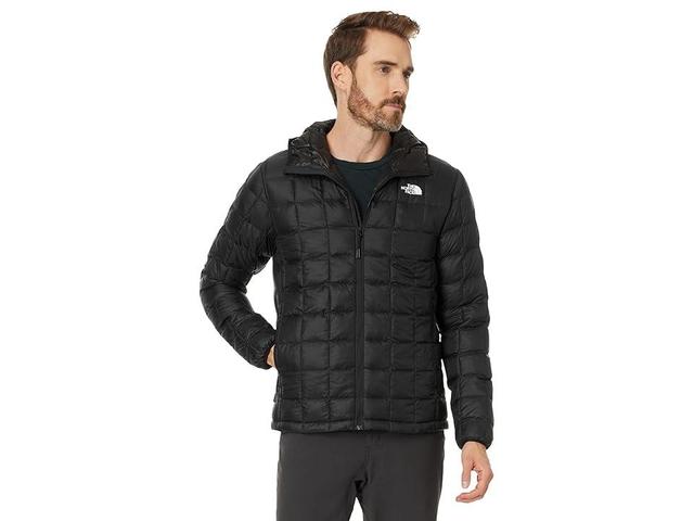 The North Face ThermoBall Eco Hoodie 2.0 (TNF -NPF) Men's Coat Product Image