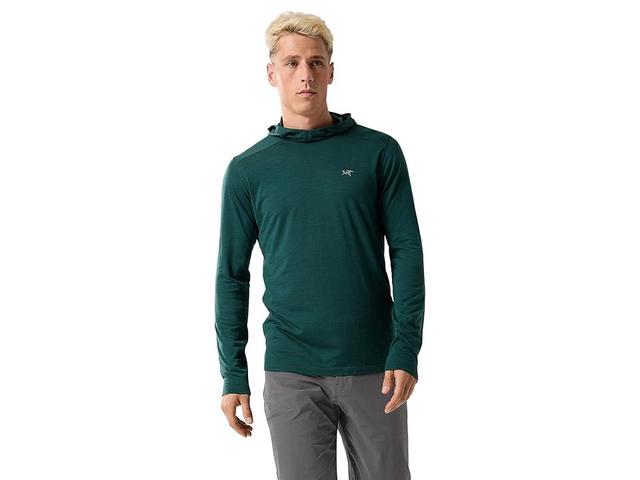 Arc'teryx Ionia Merino Wool Hoody (Pytheas) Men's Clothing Product Image