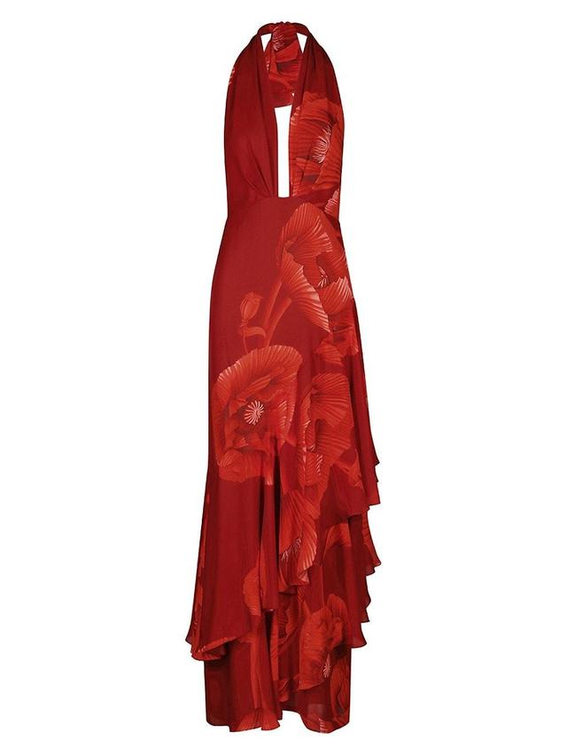 Elusive Spirit Maxi Dress Product Image