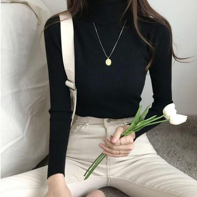 Turtleneck Plain Ribbed Sweater Product Image