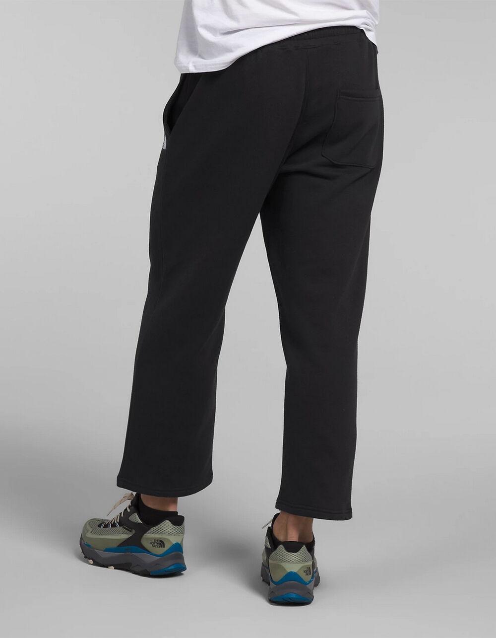 THE NORTH FACE Evolution Straight Leg Mens Sweatpants Product Image