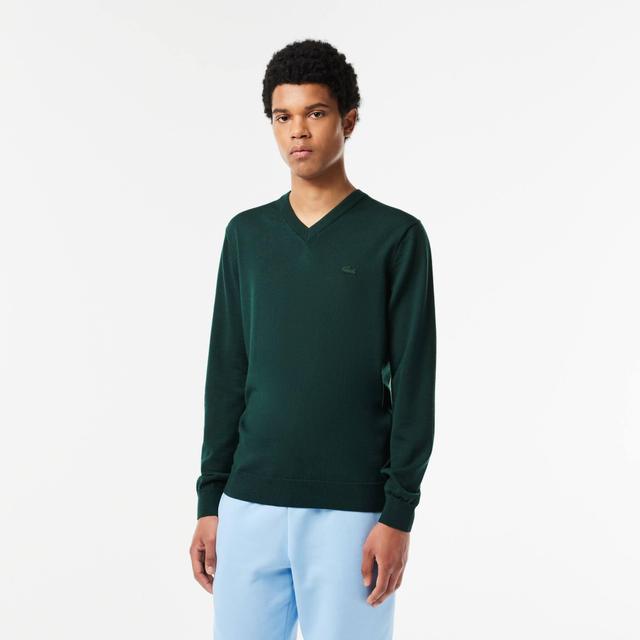 Merino Wool Monochrome V Neck Sweater Product Image