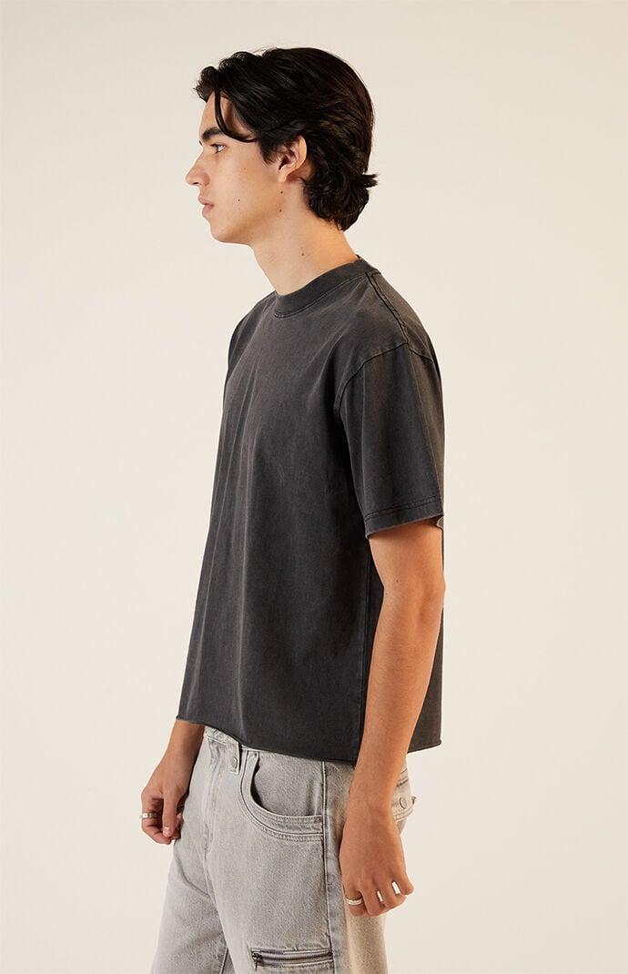 Mens Premium Cropped T-Shirt - Product Image