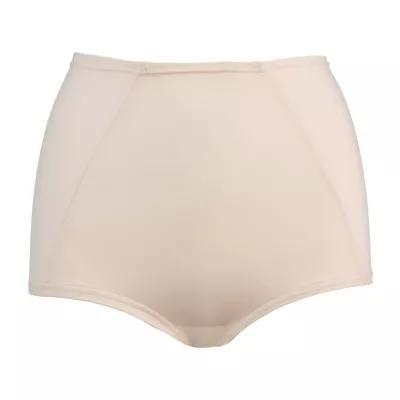 Cortland Intimates Shapewear Control Briefs 4202 Product Image