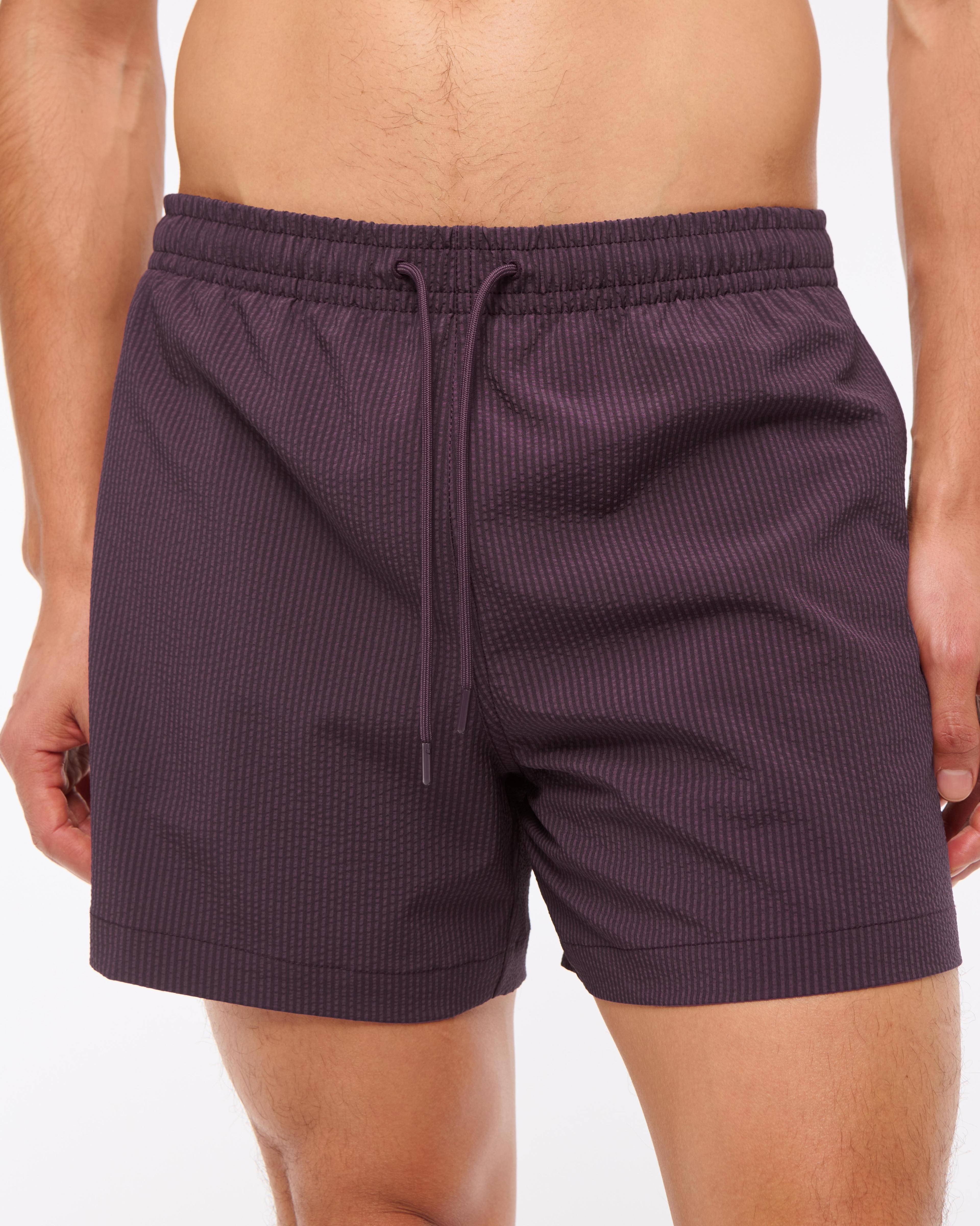 Pull-On Seersucker Swim Trunk Product Image