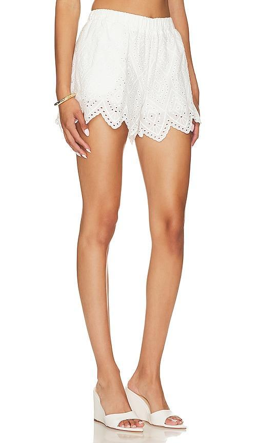 MISA Los Angeles Soleil Shorts Size XL, XS. Product Image