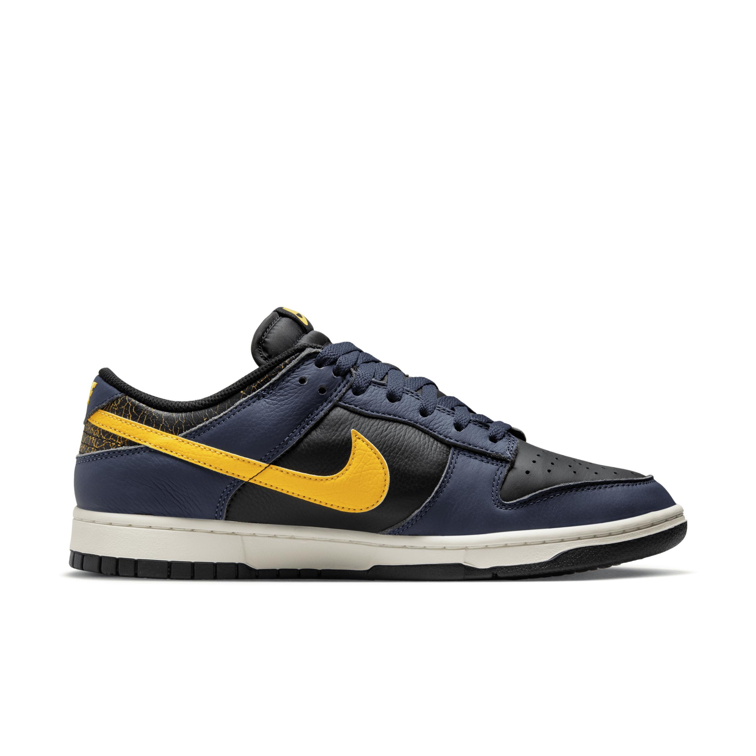 Nike Men's Dunk Low Retro Shoes Product Image