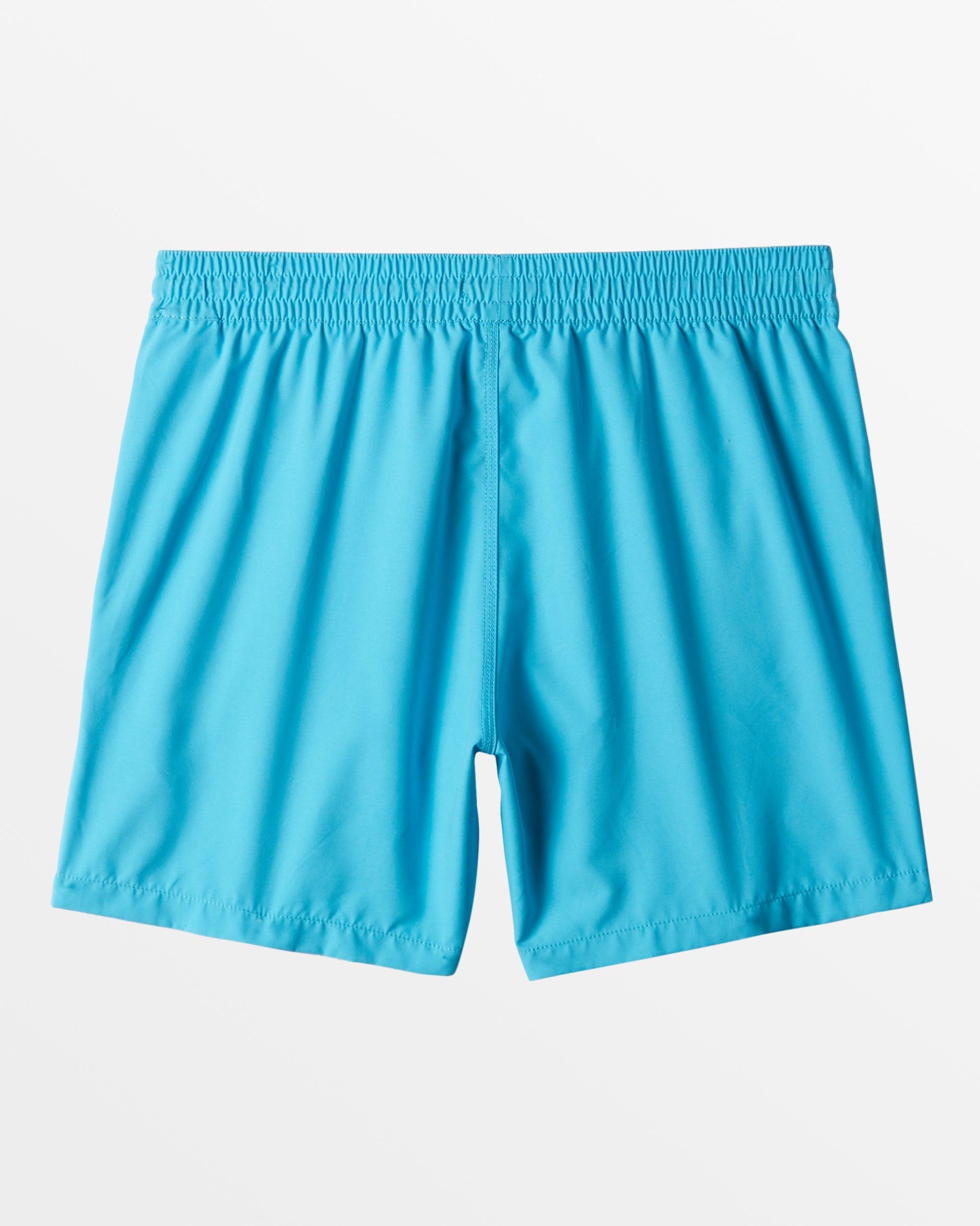 All Day Layback 16" Swim Trunks - Cyan Male Product Image