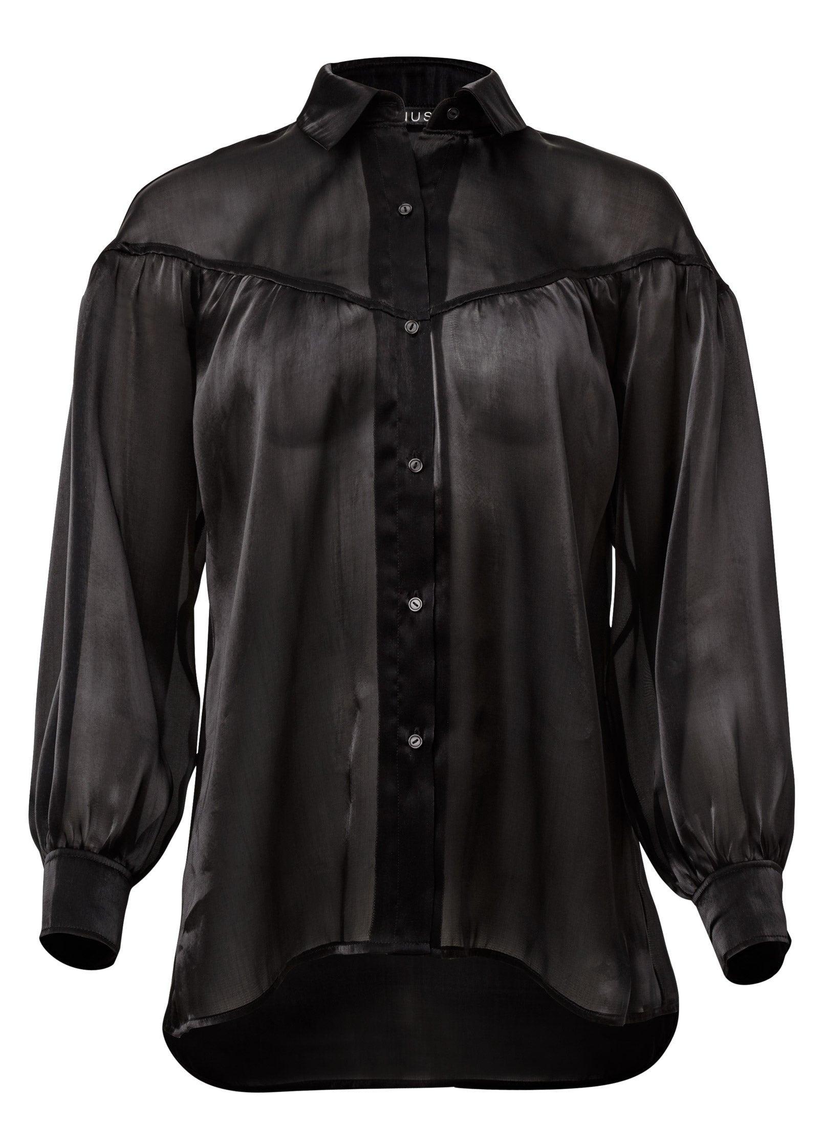 Sheer Button Down Blouse - Black Product Image