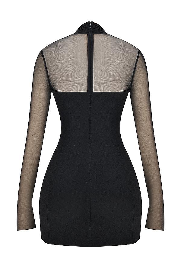 Holly Black Plunge Mini Dress Product Image