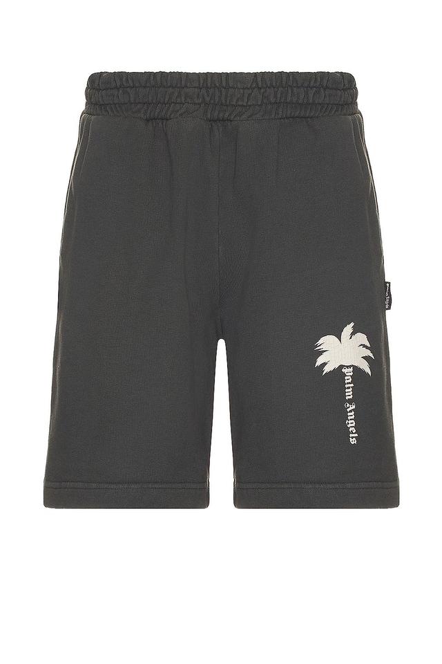 Palm Angels Palm GD Sweatshort Charcoal. (also in L, S, XL/1X). Product Image