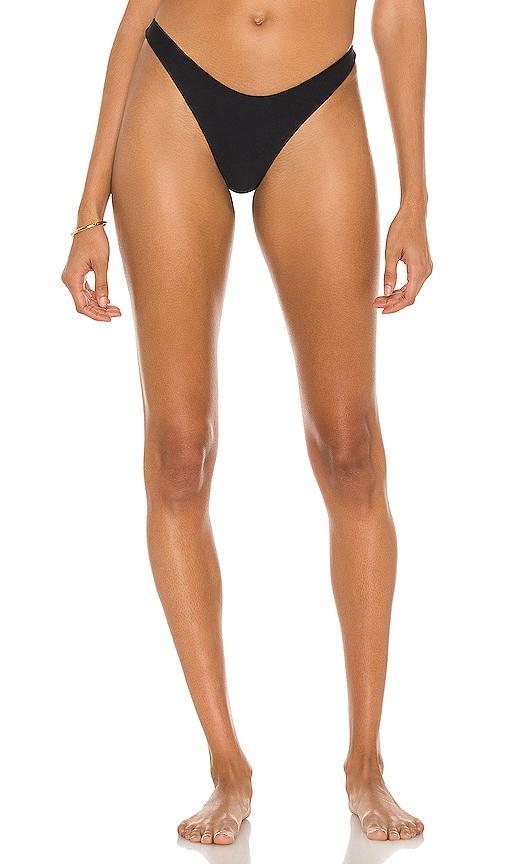 Curve Bikini Bottom Product Image