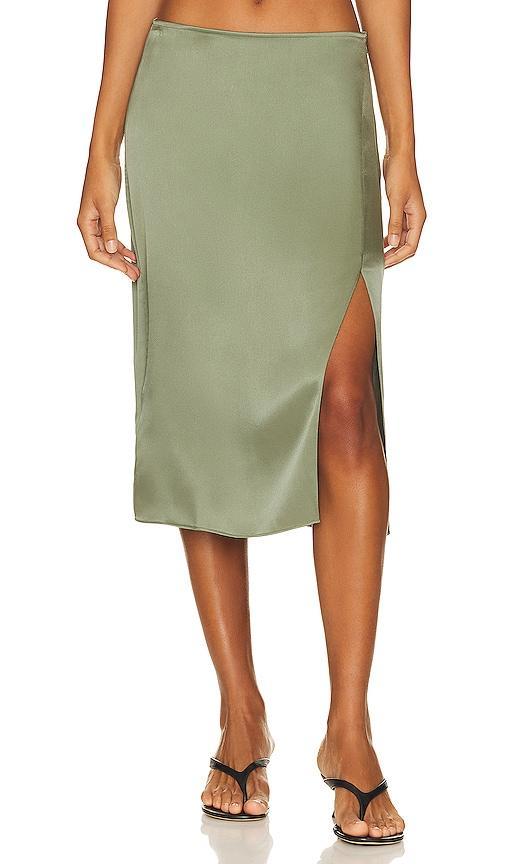 Joli N Skirt Product Image