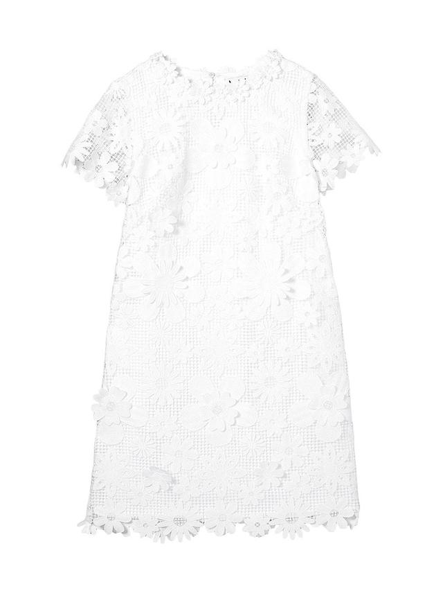 Womens Floral Lace Shirtdress Product Image