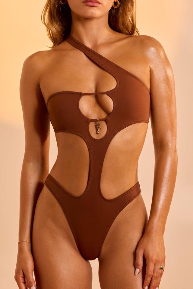 One-Piece Swimsuit in Brown Product Image