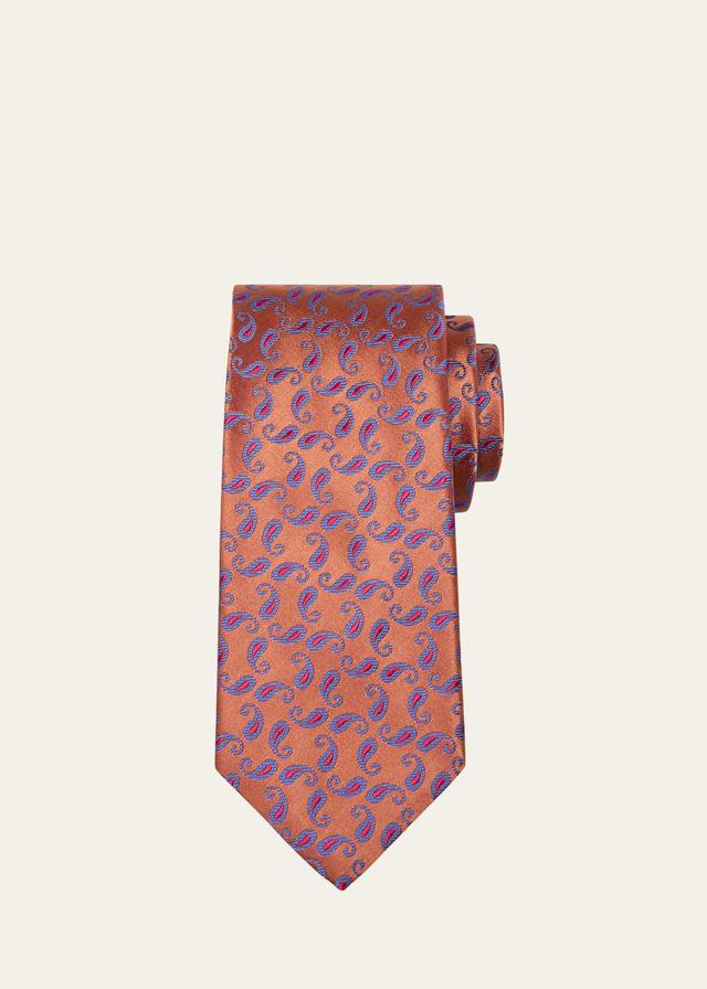 Mens Paisley Silk Tie Product Image