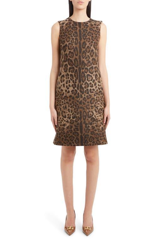 Dolce & Gabbana Dgrad Leopard Print Wool Blend Shift Dress Product Image