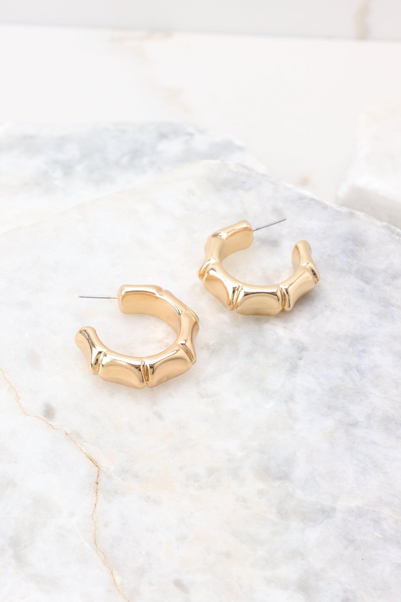 Eternally Perfect Gold Hoop Earrings Product Image