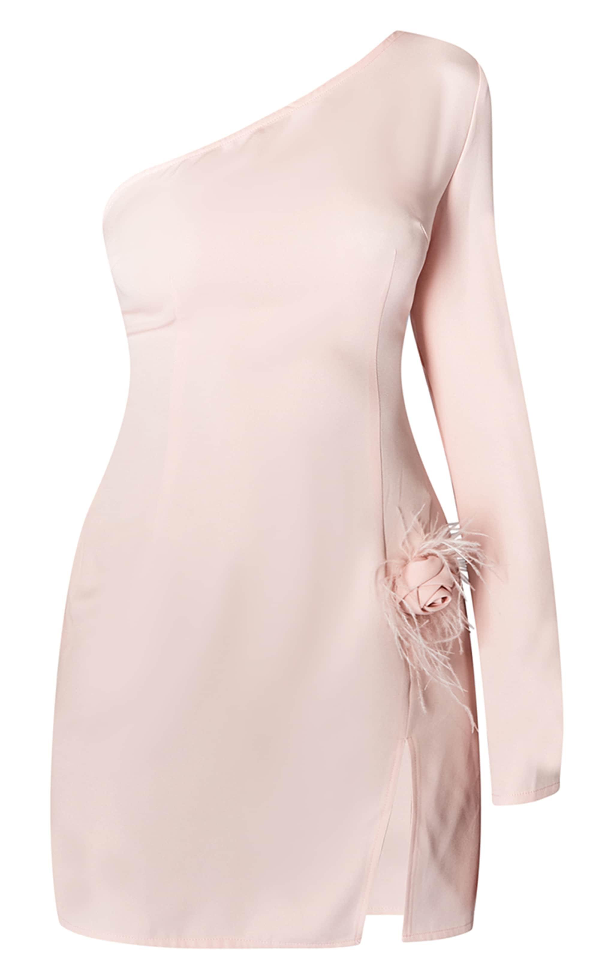 Dusty Pink One Shoulder Feather Detail Woven Bodycon Dress Product Image